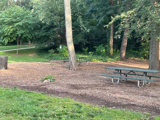 Penrose Park by null