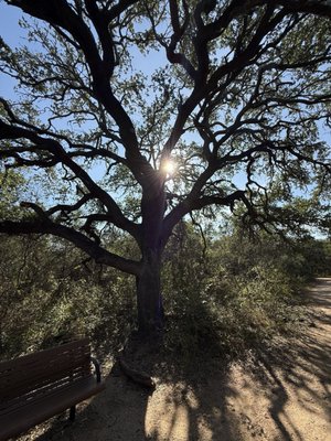 Government Canyon State Natural Area by null