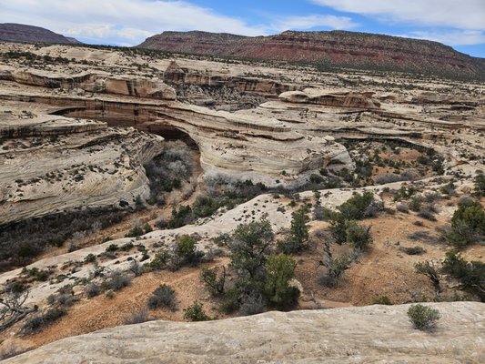 Natural Bridges National Monument by null