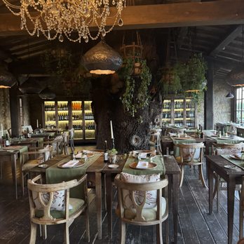 Trattoria sull’Albero - Dining room - Italian Near Me - Palazzetto, SI Trattoria sull’Albero - Dining room - Italian Near Me - Palazzetto, SI