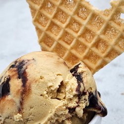 Half Pint Creamery - Fudgy Peanut Butter