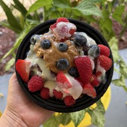 Juice World FL - Make Your Own Acai Bowl