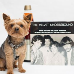 May 23 Clothing - Atticus showing off the latest Velvet Underground record.
