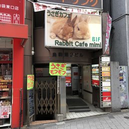 うさぎcafe うさぎかふぇMIMI - Updated September 2025 - 60 Photos