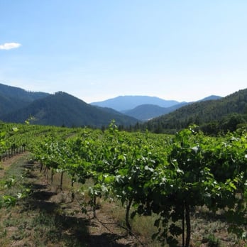 John Michael Champagne Cellars - The vines - Wineries Near Me - Jacksonville, Oregon John Michael Champagne Cellars - The vines - Wineries Near Me - Jacksonville, Oregon