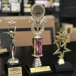 New Star Trophy - Trophies for all occasion