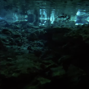 Diving Cenotes Tulum - Scuba Diving Near Me - Tulum, ROO