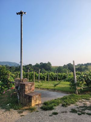 Beliveau Farm Winery by null