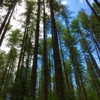 Rattlesnake Ledge Trail - The sky was crazy. - Hiking Near Me