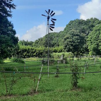 Ridemore Ranch and Berry Farm - Fruits & Veggies Near Me - Covington, Louisiana Ridemore Ranch and Berry Farm - Fruits & Veggies Near Me - Covington, Louisiana