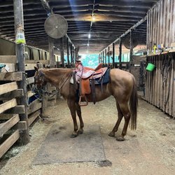 Roosevelt Riding Stables