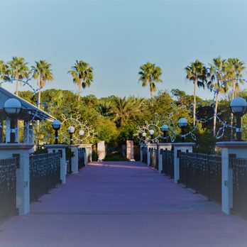 Florida Botanical Gardens - The bridge between the Botanical Gardens and Heritage Park. The is the view facing The Wedding Gardens. Those Palms are simply stunning! - Botanical Gardens Near Me - Largo, Florida