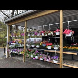 Indian Pines Farm Market - hanging baskets