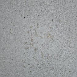 Signature Concrete Coatings