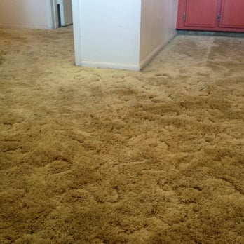 Jose's Carpet Cleaning - mmm mmm! Just like brand new! - Carpet Cleaning Near Me