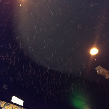 Huey's Midtown - Toothpicks in the ceiling. - Burgers Near Me - Memphis, Tennessee Huey's Midtown - Toothpicks in the ceiling. - Burgers Near Me - Memphis, Tennessee