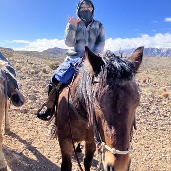 Cowboy Trail Rides - Mustang Sally - Limos Near Me - Las Vegas, Nevada