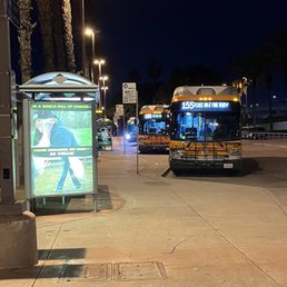 Metro Bus Stops Metro Bus Stops