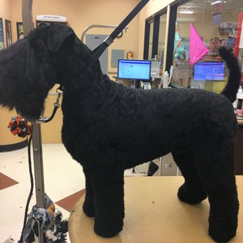 The Paw Spaw - Pet Groomers Near Me - Island Park, Idaho The Paw Spaw - Pet Groomers Near Me - Island Park, Idaho