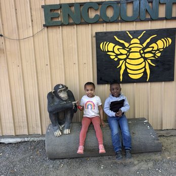Bee City Zoo - Petting Zoos Near Me - Cottageville, South Carolina