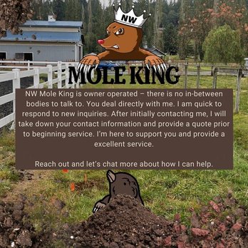 NW Mole King - Wildlife Control Near Me NW Mole King - Wildlife Control Near Me
