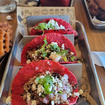Gold Feather - Duck Tacos - Beer Bar Near Me - San Antonio, Texas