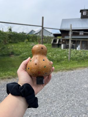 Gourdlandia by null