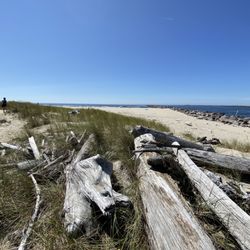 Bayocean Peninsula Park - First view of the jetty