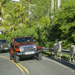Mr Pipers Jeeps