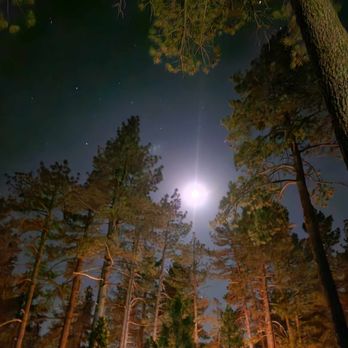 San Jacinto State Park Idyllwild Campground - Campgrounds Near Me - Idyllwild, California