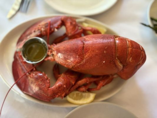 Turner's Seafood at Lyceum Hall, Salem, MA by null