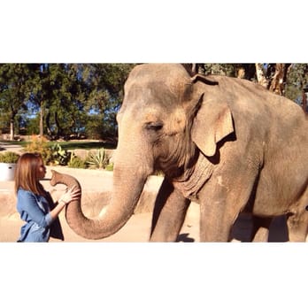 Have Trunk Will Travel - Travel Services Near Me - Perris, California Have Trunk Will Travel - Travel Services Near Me - Perris, California