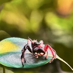 user provided Sphere photo