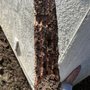 Photo of Evans Exterminator