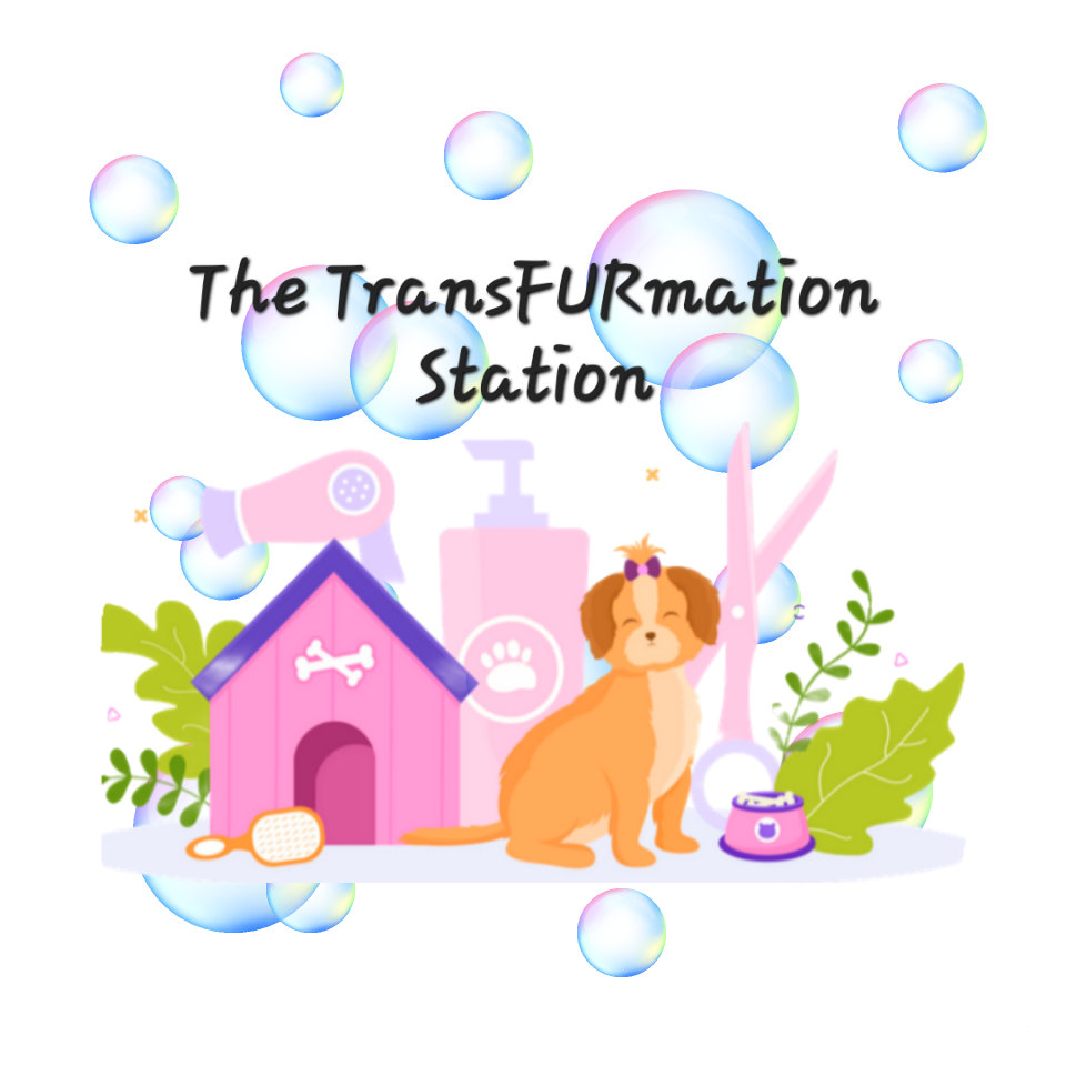 THE TRANSFURMATION STATION TEMP. CLOSED Updated May 2024 30