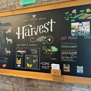 Harvest - New American Near Me - Laguna Beach, California Harvest - New American Near Me - Laguna Beach, California