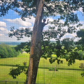 Good Neighbors - Tree Services Near Me Good Neighbors - Tree Services Near Me