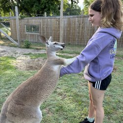 Coastal Wilds - So friendly