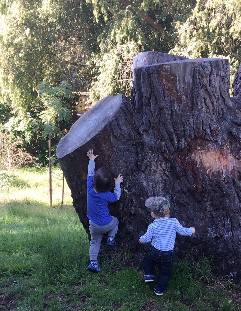 Tinker Preschool - childcare center in San Francisco, CA
