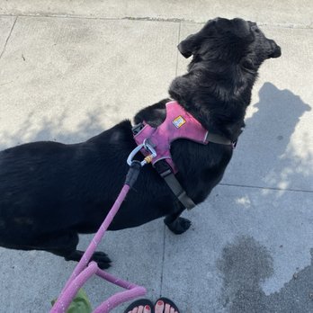 Northwest Pets - Pet Stores Near Me - Meridian, Idaho Northwest Pets - Pet Stores Near Me - Meridian, Idaho