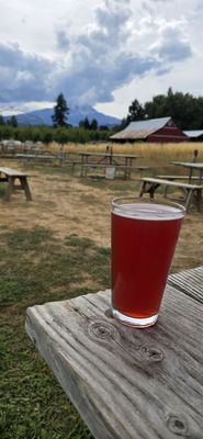 Solera Brewery by null