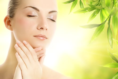 Gina's Skin and Body Care Logo