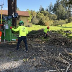 Treecs Inc - Brush chipping.