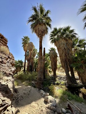 Indian Canyons by null