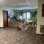 Photo of Serenity Animal Hospital