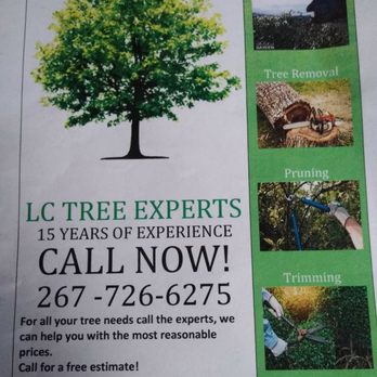 L.C Tree Experts - Tree Services Near Me