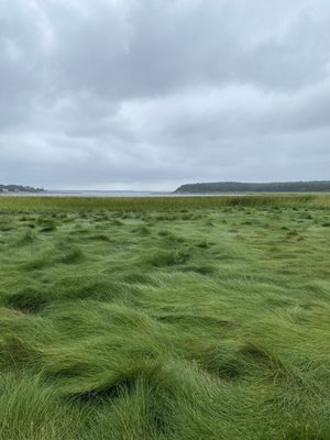 Great Island Trail by null