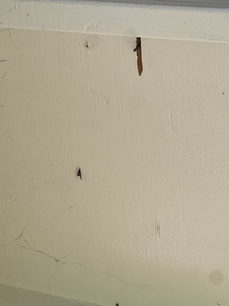 Slide of Golden State Roofing