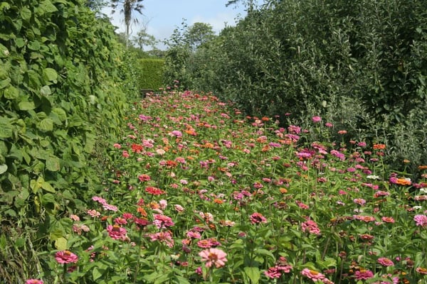 The Lost Gardens of Heligan by null