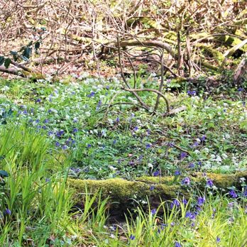 Killarney National Park - Where to be in spring - Parks Near Me